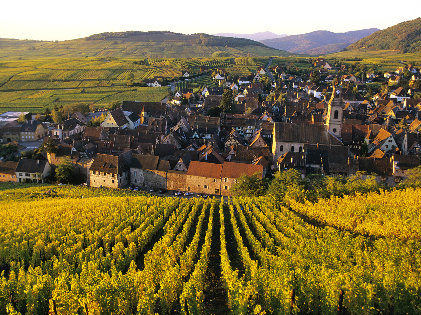 Alsace -  Franska Vinvägar